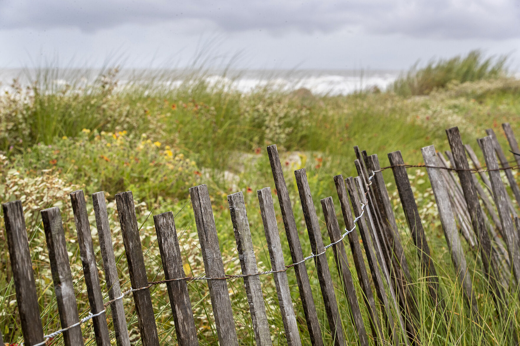 folly dunes.jpg (copy)